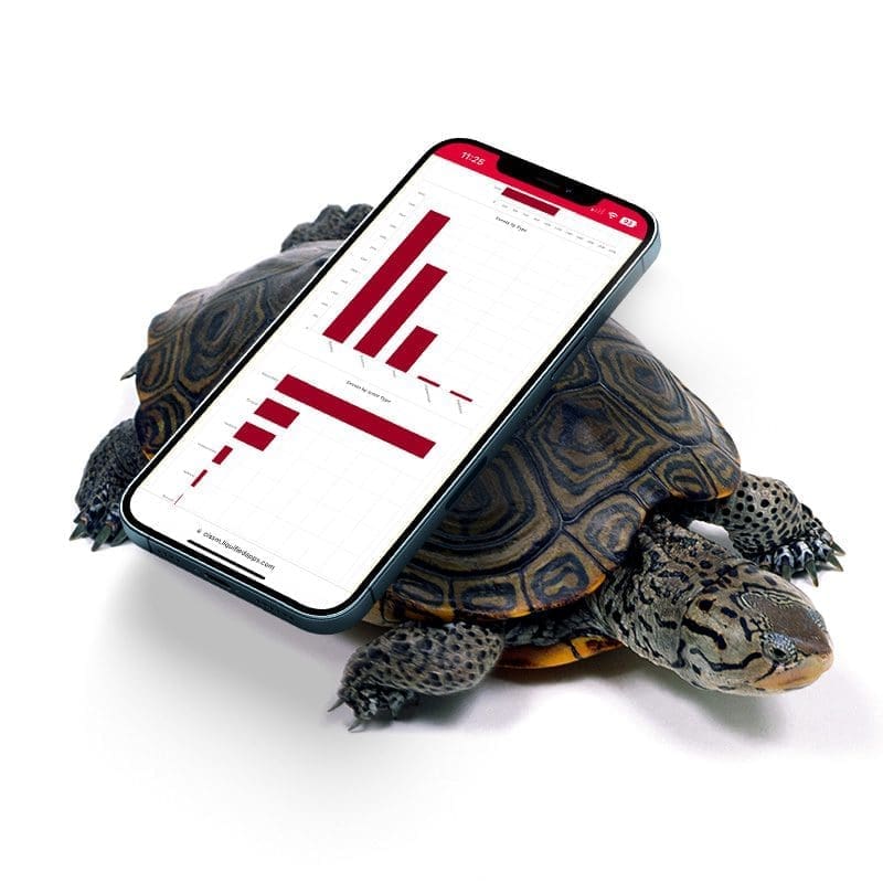 CISSM_Turtle_800x800